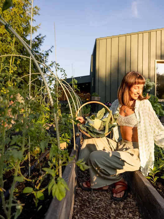 woman inspecting green tomatoes 2024 11 01 23 43 20 utc