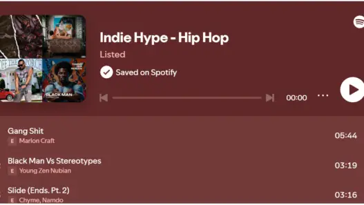 Indie Hype