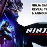 Ninja Gaiden 4